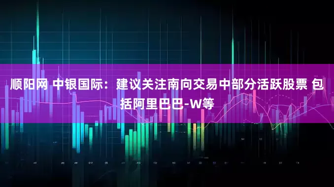 顺阳网 中银国际：建议关注南向交易中部分活跃股票 包括阿里巴巴-W等