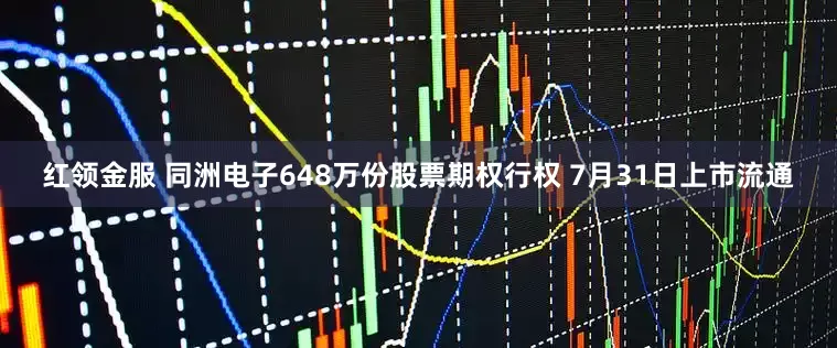 红领金服 同洲电子648万份股票期权行权 7月31日上市流通
